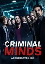 Esprits criminels - Saison 13